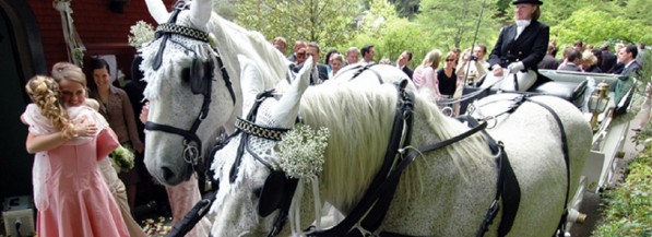 Waldknechtshof - Feste feiern, Hochzeiten, Tagungen - Gutshof mieten