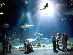 Tropenaquarium Hagenbeck