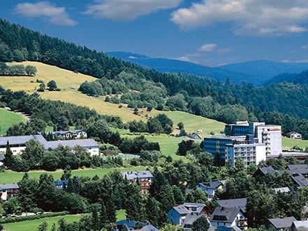 Kurhotel Hochsauerland 2010 - Werner Wilhelm Wicker KG