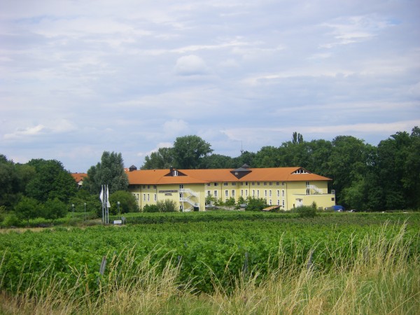 Steigenberger Hotel Deidesheim