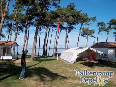 Falkencamp Pepelow