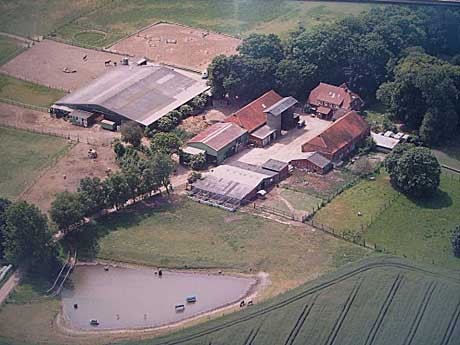 Reiterhof & Bauernhoferlebnis  Augustenhof