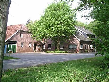 Ferienhof Jaspers - Ponyhof mieten