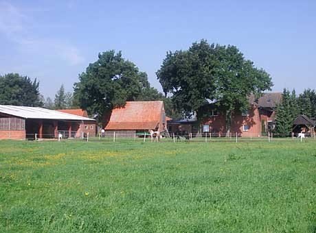 Lazy Horse Ranch  Ferien- und Reiterhof Braune