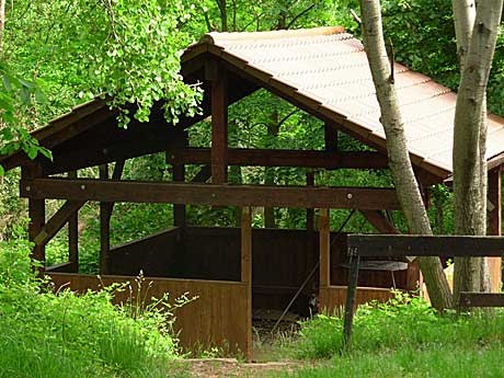 VCP-Zeltplatz Hambacher Schloss