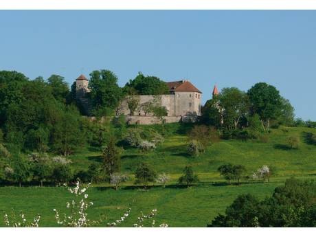 Pension Tannenburg  und Schullandheim