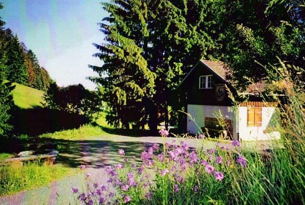 Moosybärhütte mieten Todtmoos - Berghütte mieten