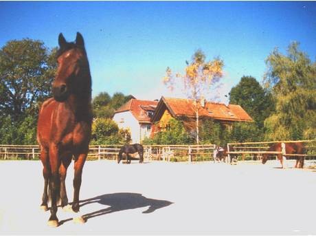 Alte Mühle Bruck - Location mieten