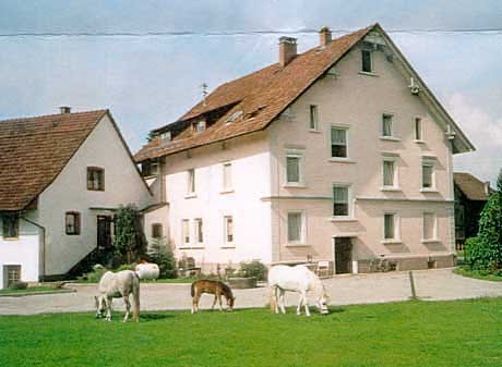 Kinder- + Schullandheim Roggenzell