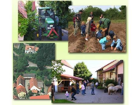 Ferienwohnungen am Büchelberg