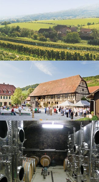 Weingut Steinbachhof