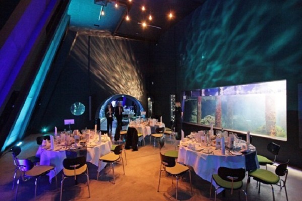 OZEANEUM Stralsund - Eventlocation, Hochzeitslocation, Tagungslocation mieten